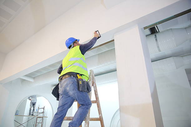 Best Mold Removal for HVAC Installations  in Brevard, NC