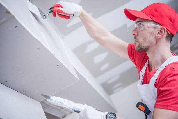 Best Airborne Mold Testing  in Brevard, NC